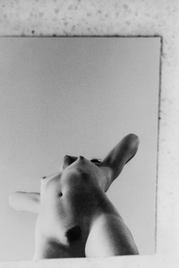 Torso