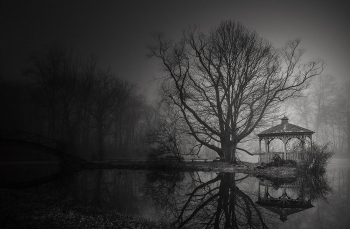 Hidden Land