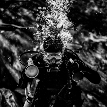 The Diver
