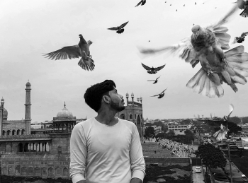 Bird whisperer