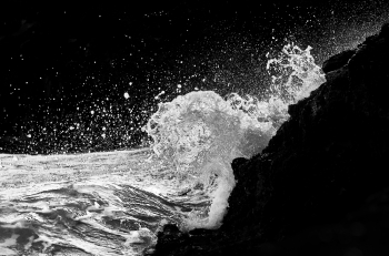 The Wave