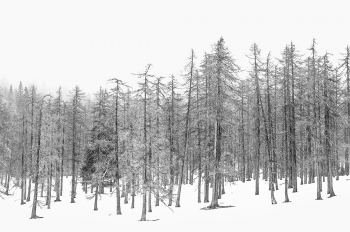MONOCROME |  Walking through the Ampezzo Dolomites 