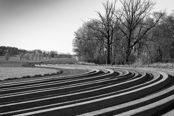 Structures in landscape