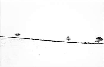 MOLISE