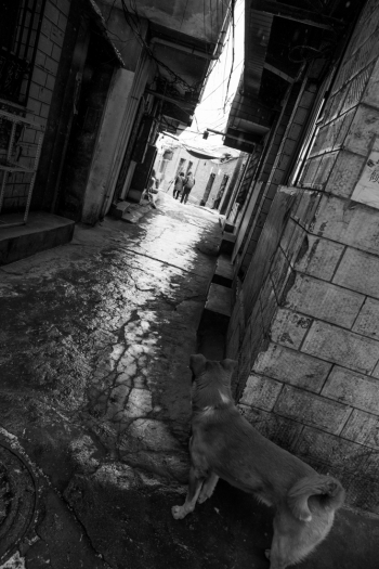 《CORNER》