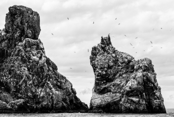 The seagull rock