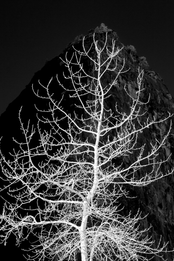 Anatomy of Nature