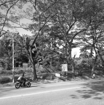 On the road