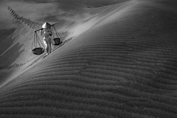 Dune