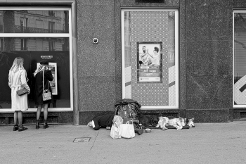 The Comfort Of Indifference
