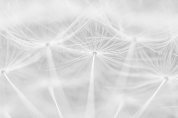 Ephemeral