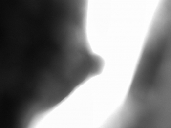WATER AND LIGHT