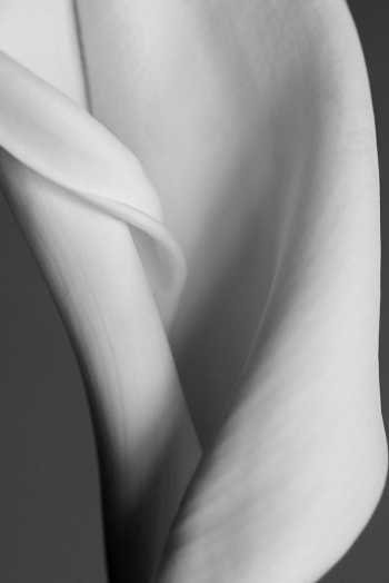 curves I