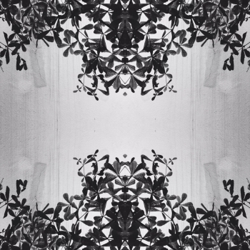 Fleur De Lis