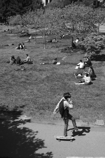 School life