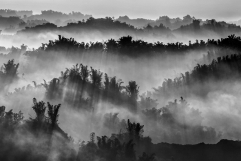 Oblique light