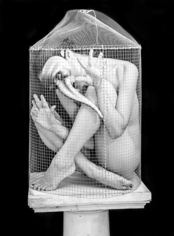 Caged Bird