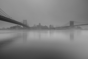 Gotham 
