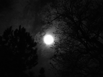 Eerie Night