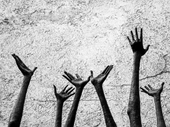 Conscious Hands 