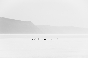 Ice morning