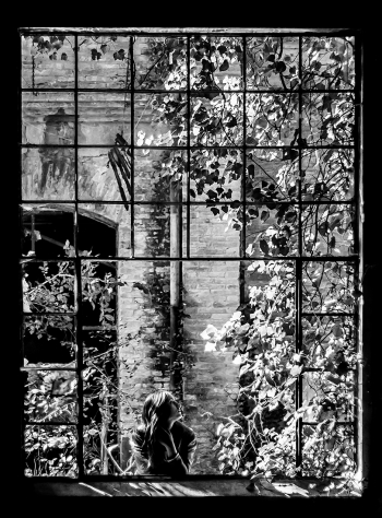 Rear Window