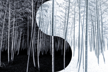 Yin-Yang
