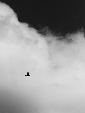 Solitude