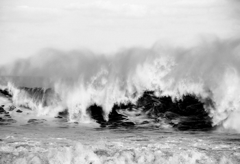 Tropical Storm