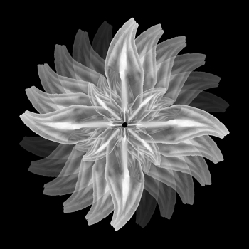 Bioemulation