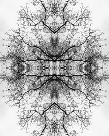 geomeTree