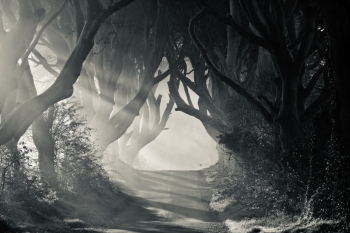Witch atmosphere