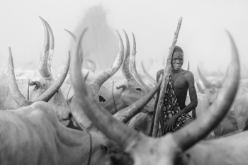 The Mundari