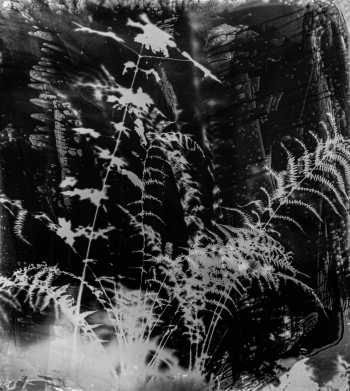 Inner Landscapes