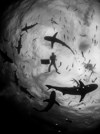 The Circle