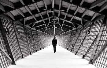 Toward the Light