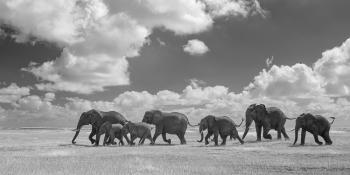 Rush Hour...