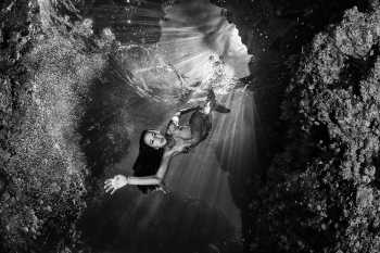 The Mermaid