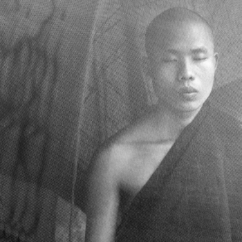 Seeking Enlightenment - The Mosquito Nets