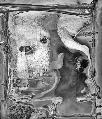 The Face on Lake Lefroy
