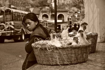 chicken seller in Sololà Guatemala 2018