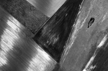 Metallic fields