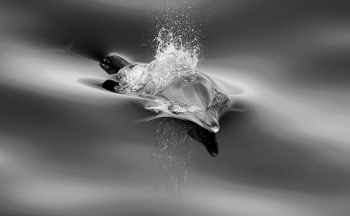 Breakthrough