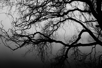 Strange lake