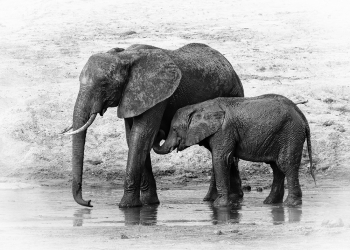 Mother and Child