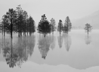 Tranquil