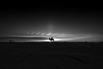 Going home