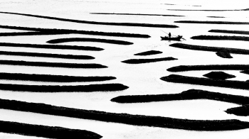 Maze on the sea