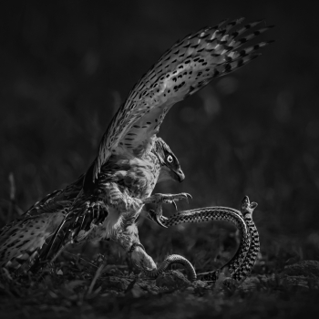 The battle