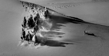 Camel bell in the desert